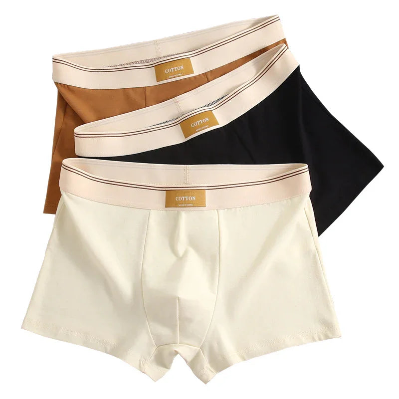 Set of three cotton men's boxer briefs in white, black, and brown with beige elastic waistbands
