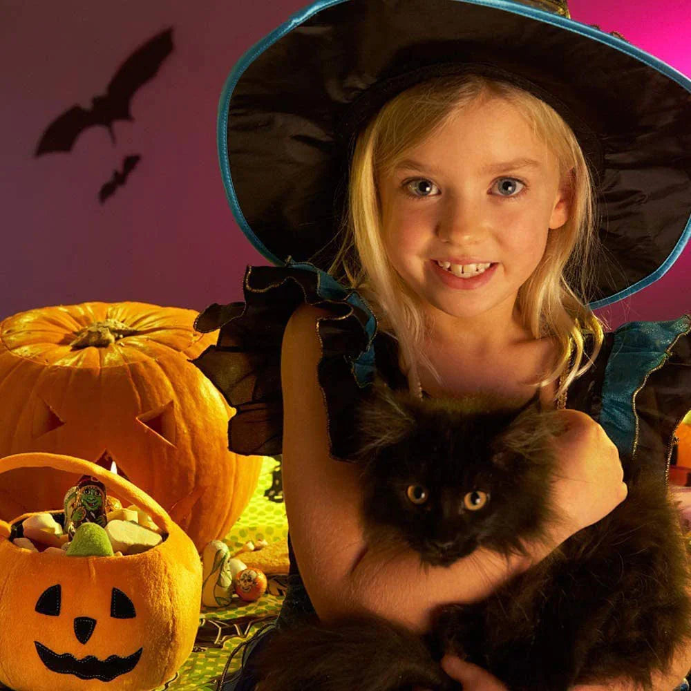 Smiling girl in witch costume holding black cat with pumpkins and Halloween decorations