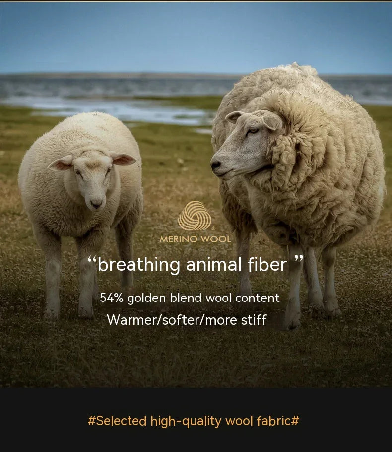 Two Merino sheep standing on a grassy field by the water, promoting breathable Merino wool fabric