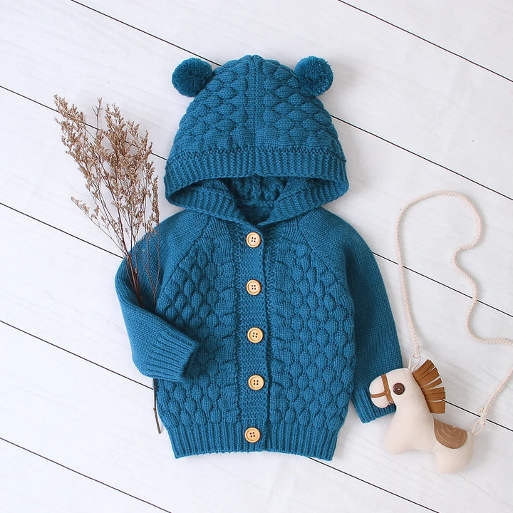 Blue knitted baby cardigan with hood and pom-poms, wooden buttons, dried flowers, and toy horse