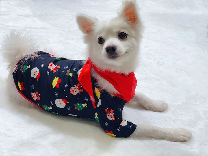 Small white dog wearing Christmas-themed outfit with Santa and reindeer prints and red scarf