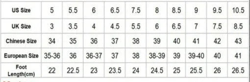 Shoe size conversion chart comparing US, UK, Chinese, European sizes and foot length in cm