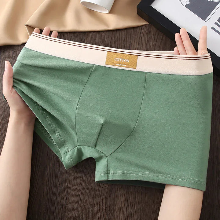 Hands stretching green cotton men's boxer briefs with beige waistband on wooden surface