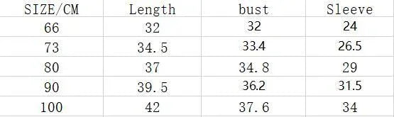 Size chart table displaying clothing measurements in centimeters for length, bust, and sleeve