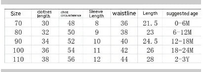 Children's clothing size chart showing measurements for clothes length, chest, sleeve, waistline, length, and suggested age from 0-6 months to 2-3 years