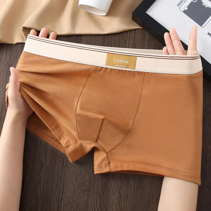 Brown cotton men's boxer briefs with beige waistband held and stretched over wooden table