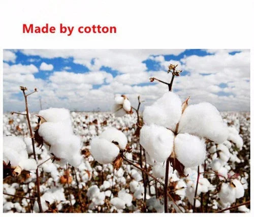 Cotton field with fluffy white cotton bolls under a blue sky with scattered clouds