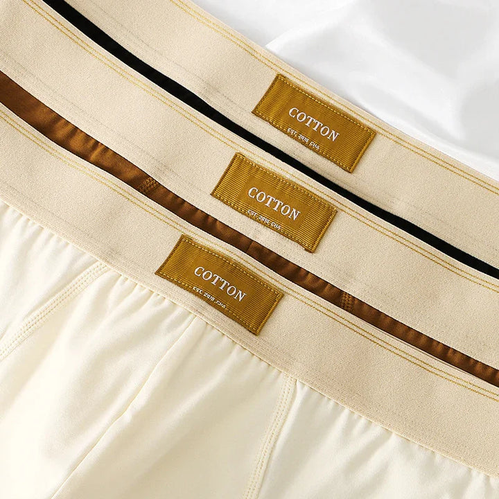 Close-up of beige cotton underwear waistbands with golden labels reading COTTON and stitched details