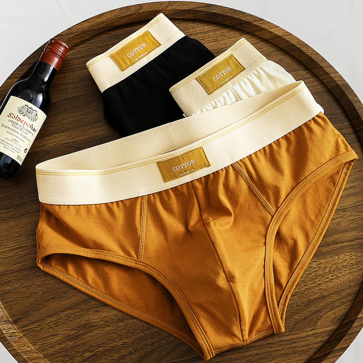 Three pairs of cotton men's briefs in brown, white, and black with beige waistbands on wooden tray next to wine bottle