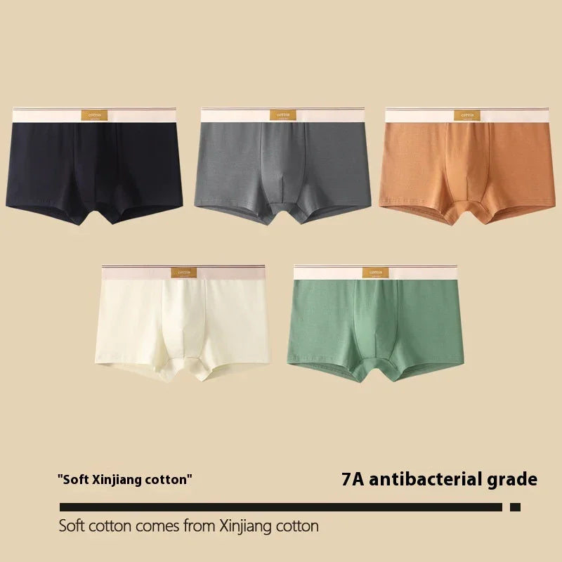 Set of five men's cotton boxer briefs in black, gray, brown, white, and green with soft Xinjiang cotton label