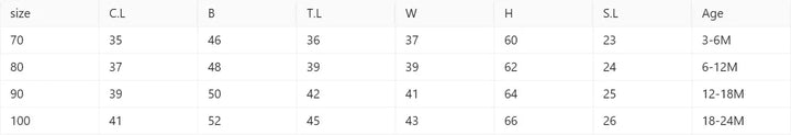 Baby clothing size chart detailing measurements for sizes 70 to 100 and corresponding ages 3-24 months