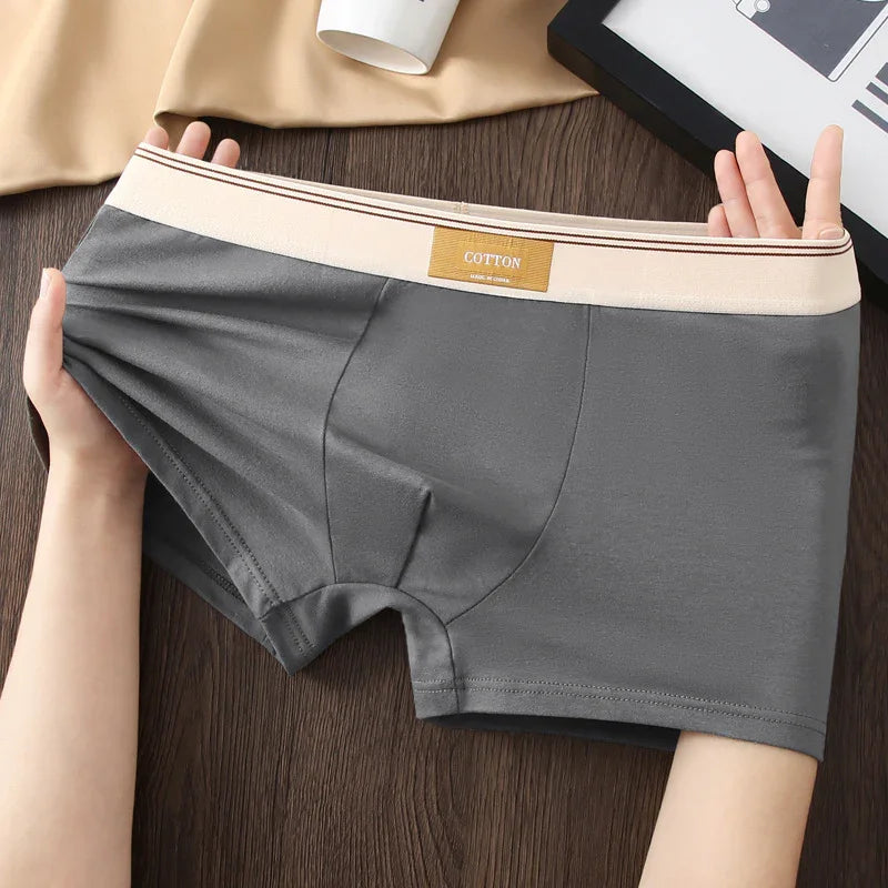 Gray cotton men's boxer briefs with beige elastic waistband and label, held stretched by hands on wood surface