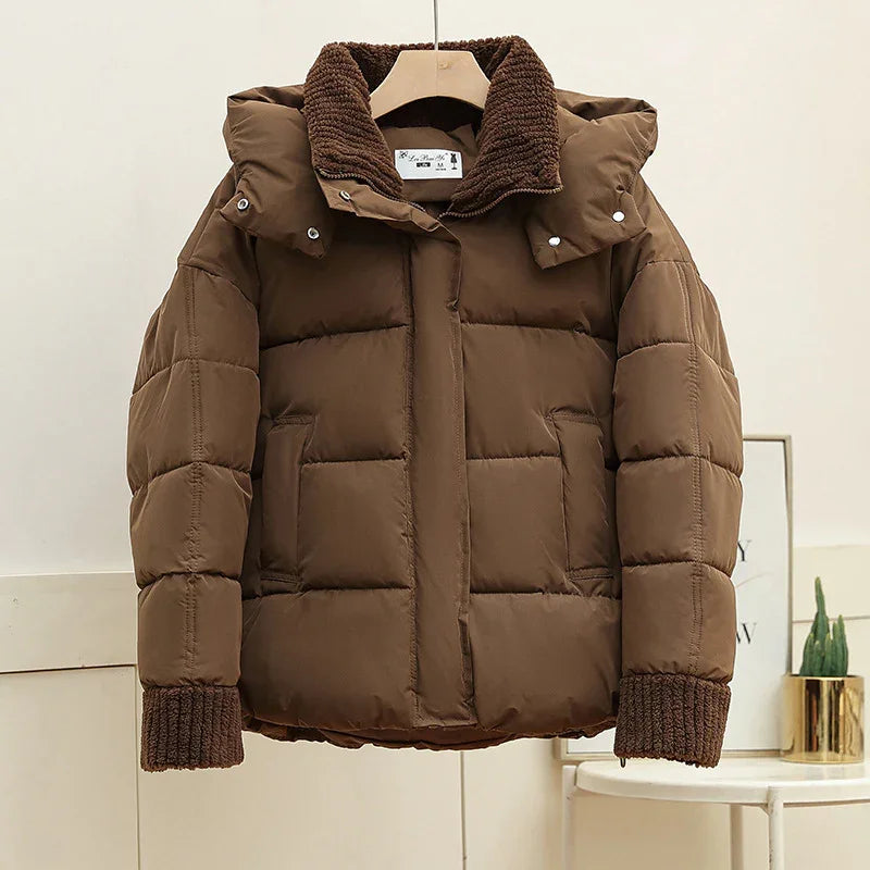 Brown padded winter jacket with knitted collar and cuffs hanging on beige background