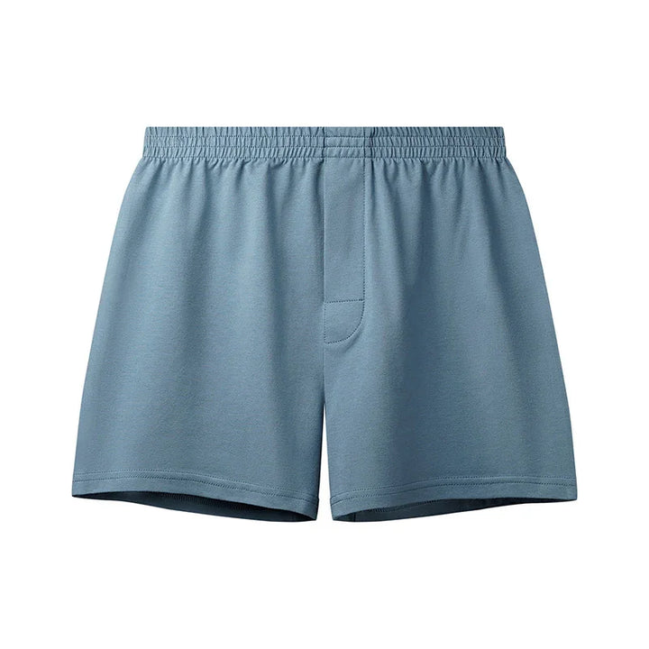 Blue men's boxer shorts with elastic waistband and front fly pouch