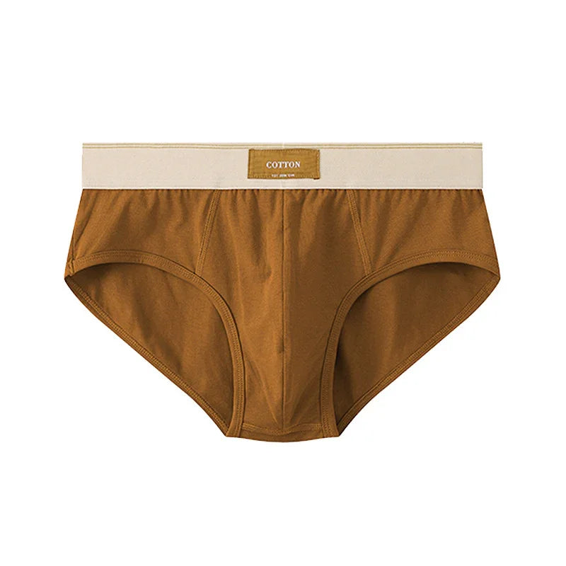 Brown cotton men's briefs with beige waistband labeled cotton, isolated on white background