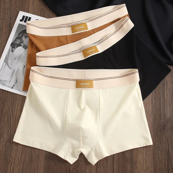Three pairs of men's cotton boxer briefs in beige, brown, and black with beige waistbands on wooden surface